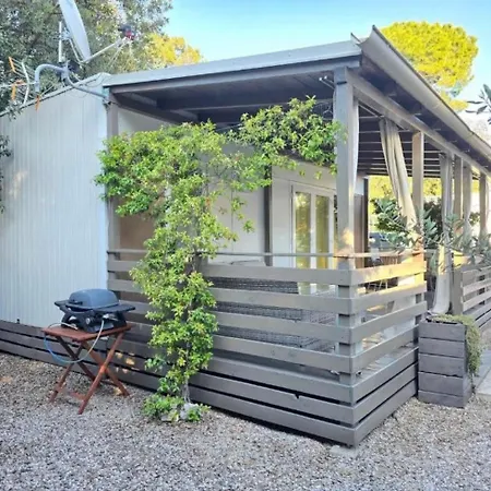 Homes Lavanda -